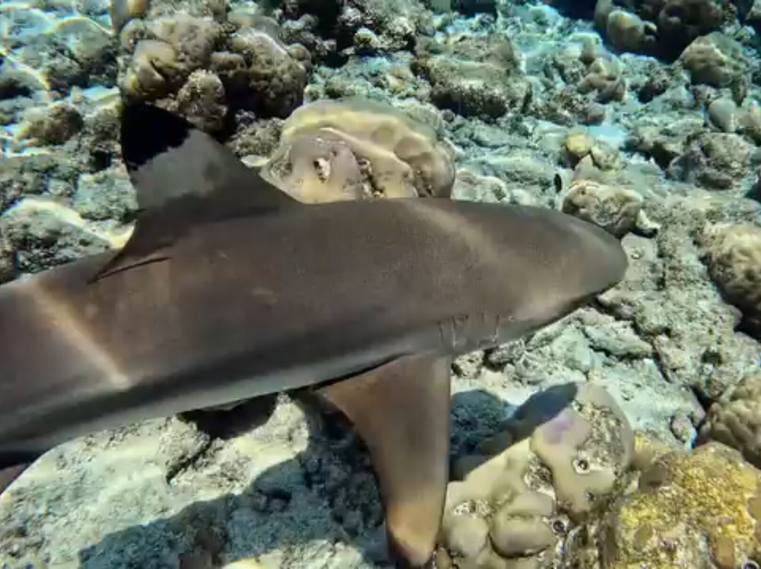 米拉门胡岛水疗度假村主图