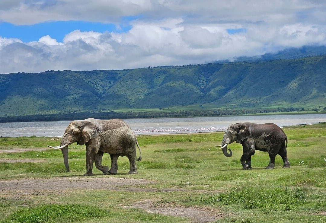 Shanjoy Tours and Safaris-Kikuyu必去景点