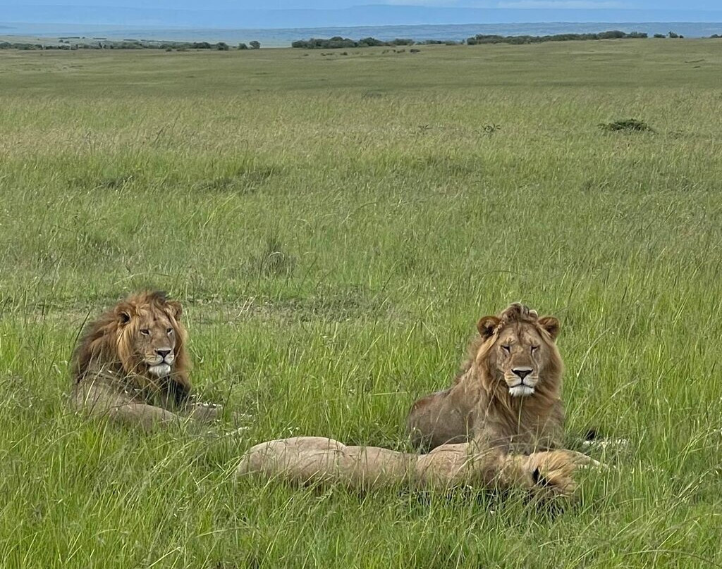 Shanjoy Tours and Safaris-Kikuyu必去景点