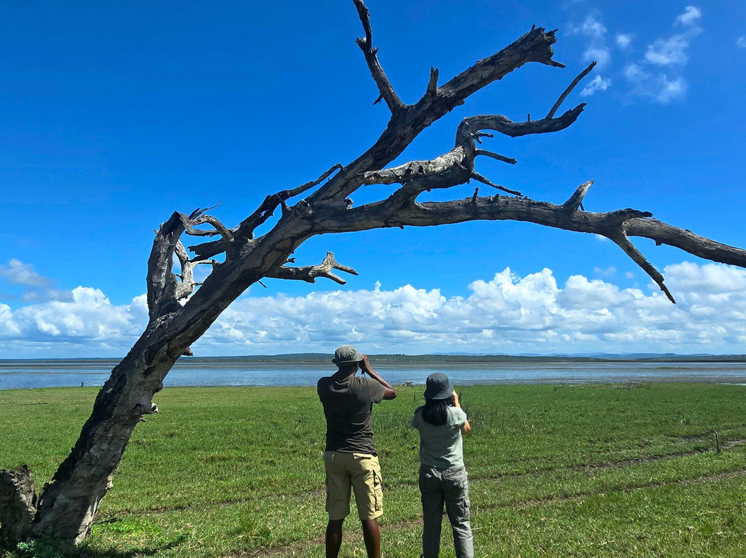 St.lucia Birds & Birding-圣露西亚必去景点
