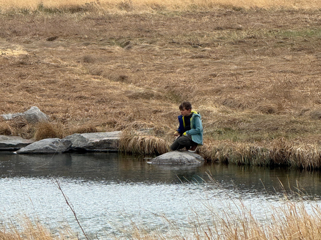 鼠尾草山林小屋主图