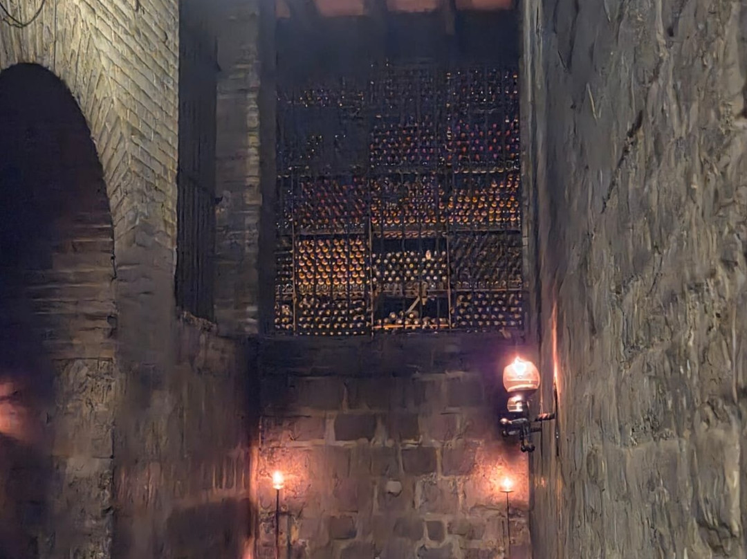 Vina Santa Carolina-圣地亚哥必去景点