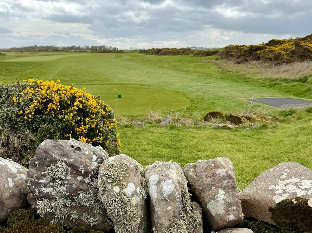 Crail Golfing Society - Balcomie and Craighead Courses-Crail必去景点