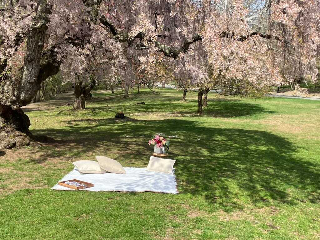 Branch Brook Park-纽瓦克必去景点