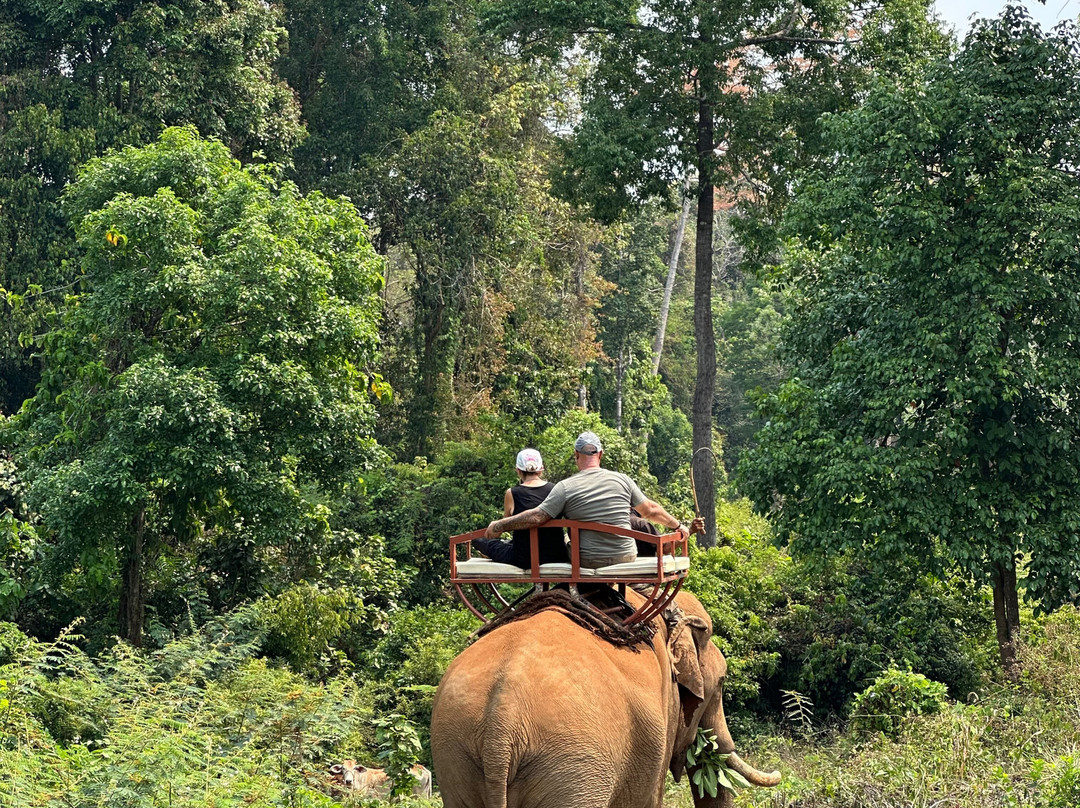 Airavata Elephant Foundation-邦隆必去景点