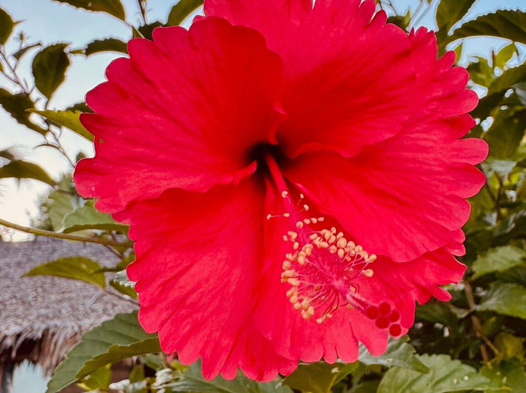 安佳马兰高海滩度假酒店主图