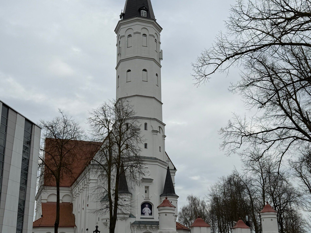 Siauliai Saint Disciple Peter and Paul Cathedral-希奥利艾必去景点