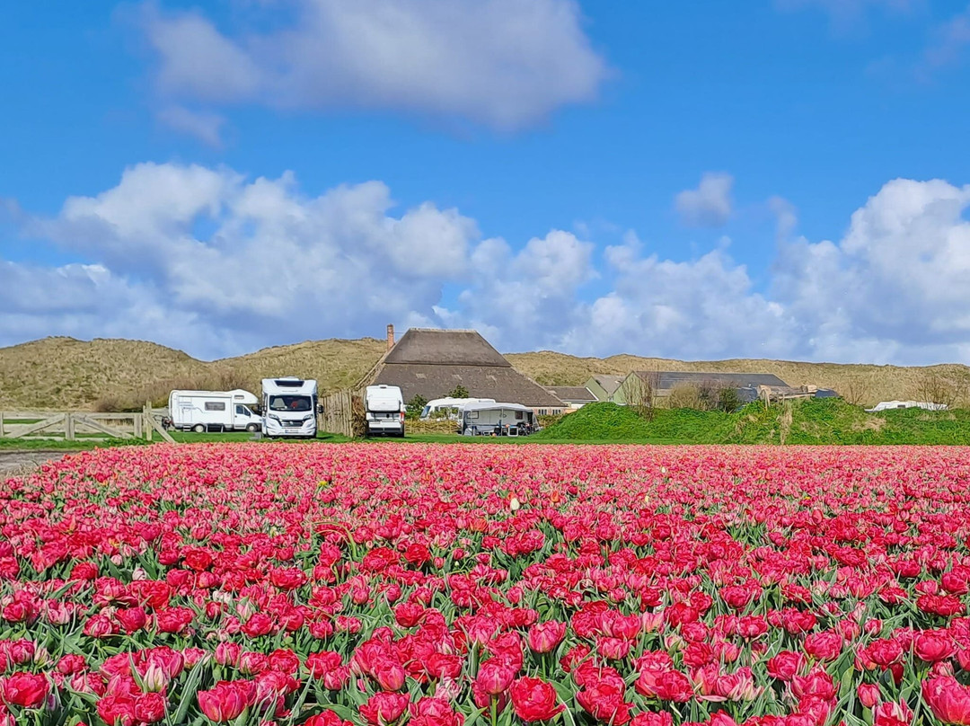 Camping Helmzicht