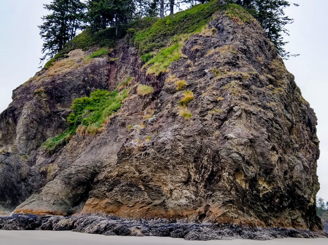 Second Beach-La Push必去景点
