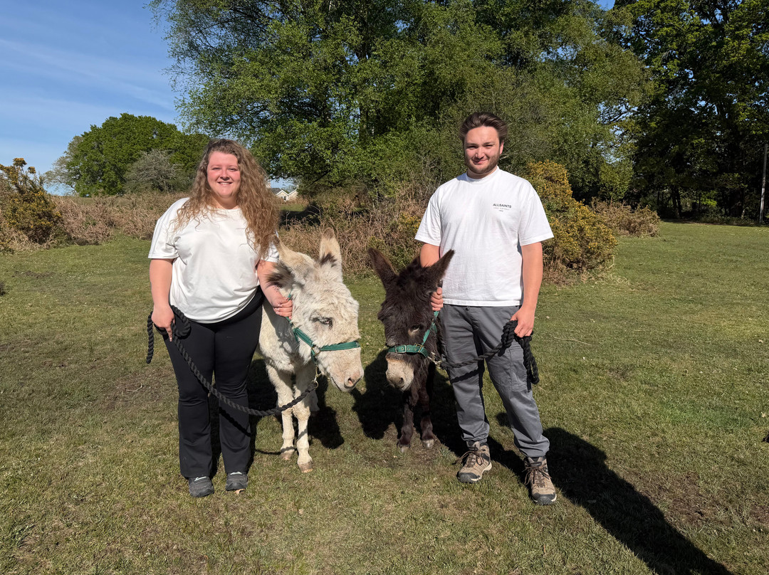 Brockenhurst Donkey Walks-Brockenhurst必去景点
