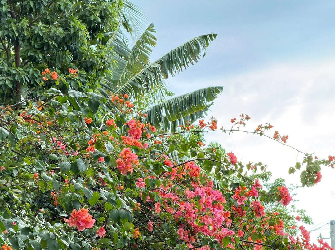 Surfbreak Cabarete B&B Surf And Yoga主图