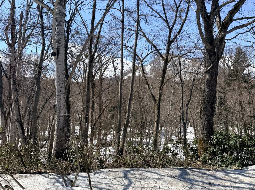 札幌国际滑雪场-札幌市必去景点
