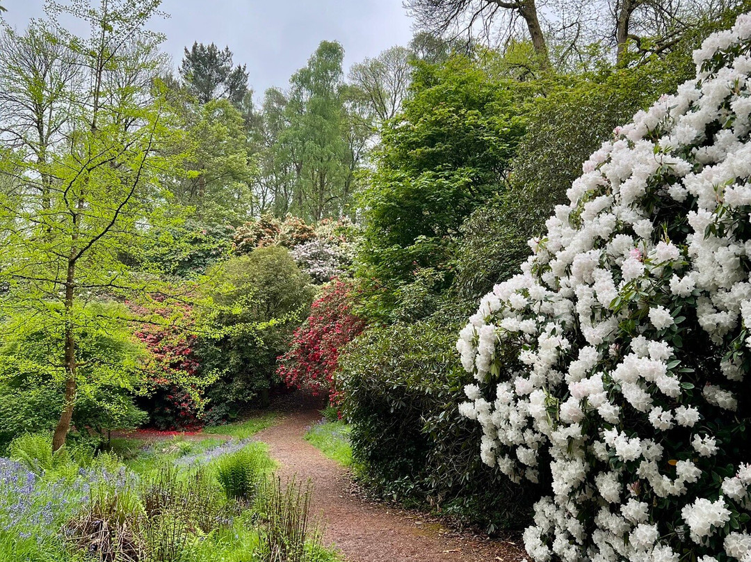 Lydney Park Estate-Lydney必去景点