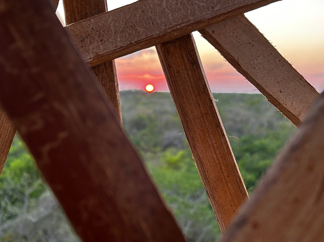 Destino Mío Mayan Jungle Retreat主图