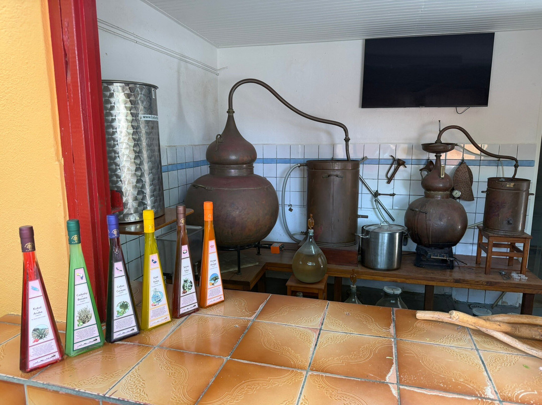The Cadushy Distillery-Rincon必去景点