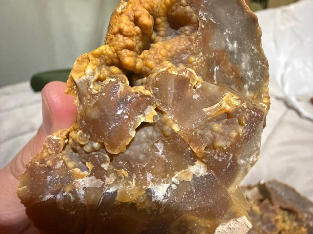 Isle of Wight Fossil Hunts - Island Gems-Godshill必去景点