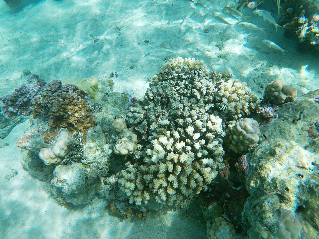 Huahine Dream Tours-Huahine必去景点