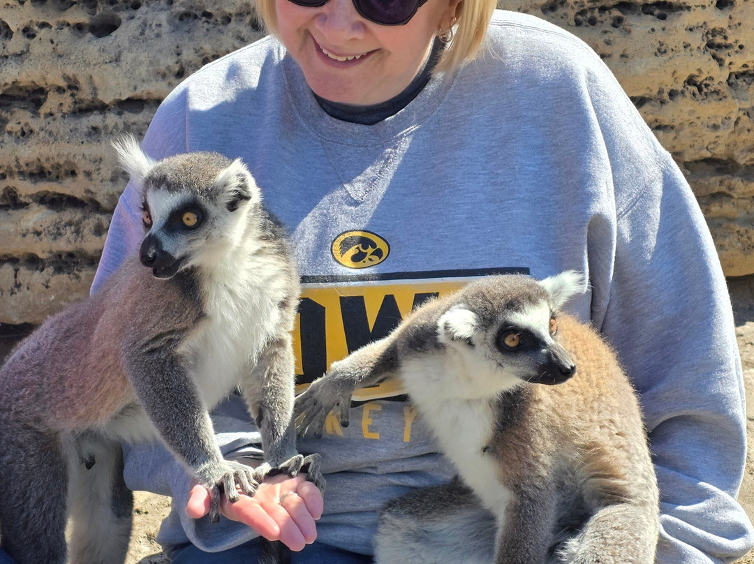 Tanganyika Wildlife Park-Goddard必去景点