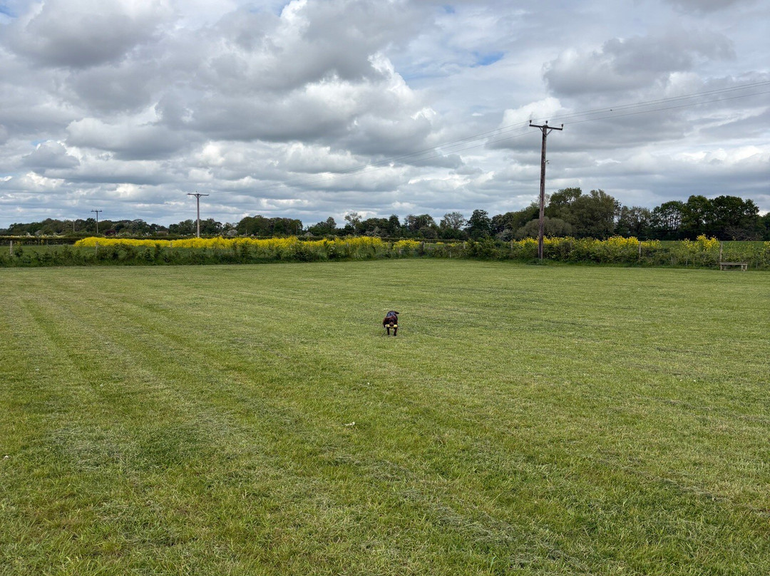 Pooch's Paddock-Belton必去景点