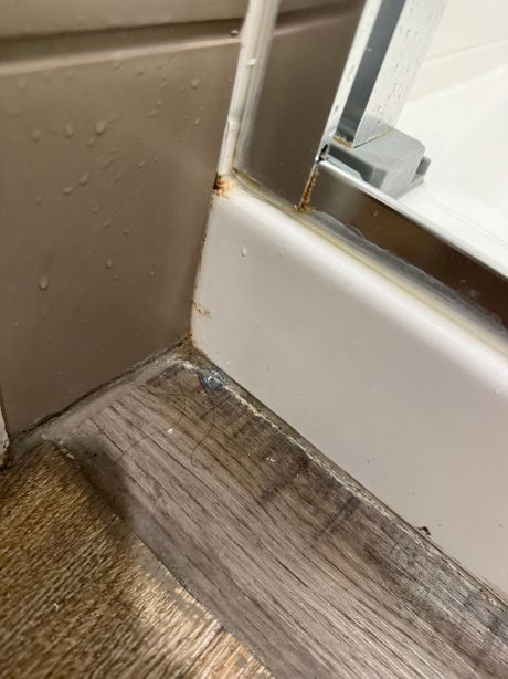 富兰克林纳什维尔酷斯普林斯希尔顿花园酒店-旅行者