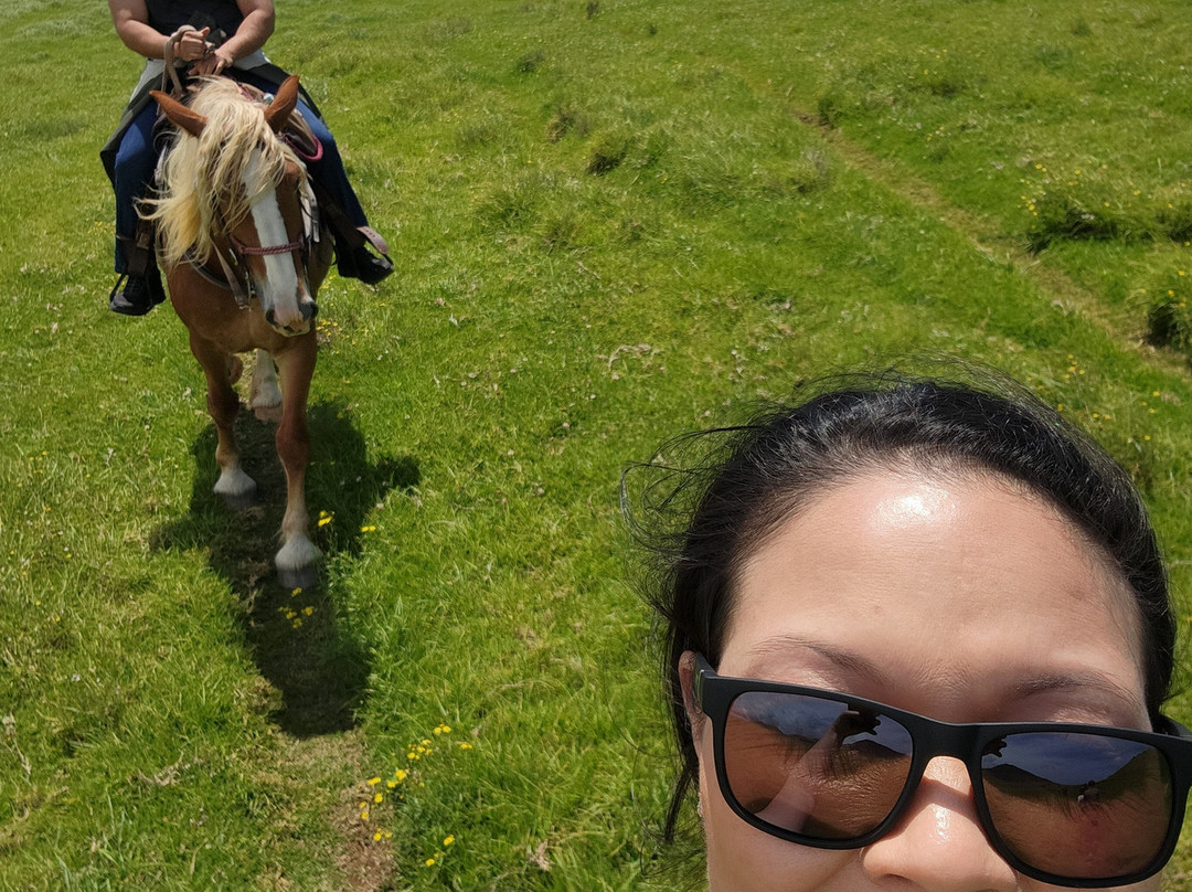 Na'alapa Stables - Kahua Ranch-卡慕也拉必去景点