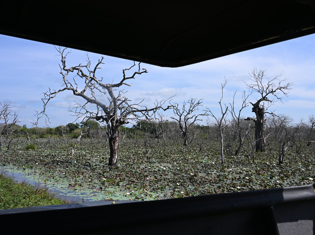 Didulanka yala safari-Thanamalwila必去景点