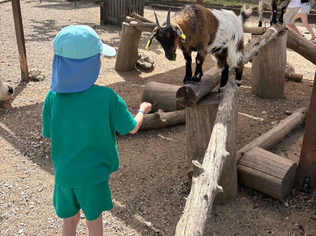 Farma of Rhodes Petting Zoo-Theologos必去景点
