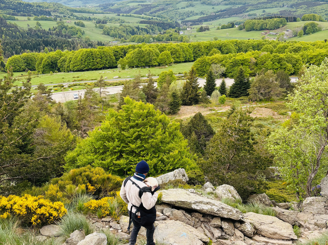 Mont Gerbier de Jonc-Saint-Martial必去景点