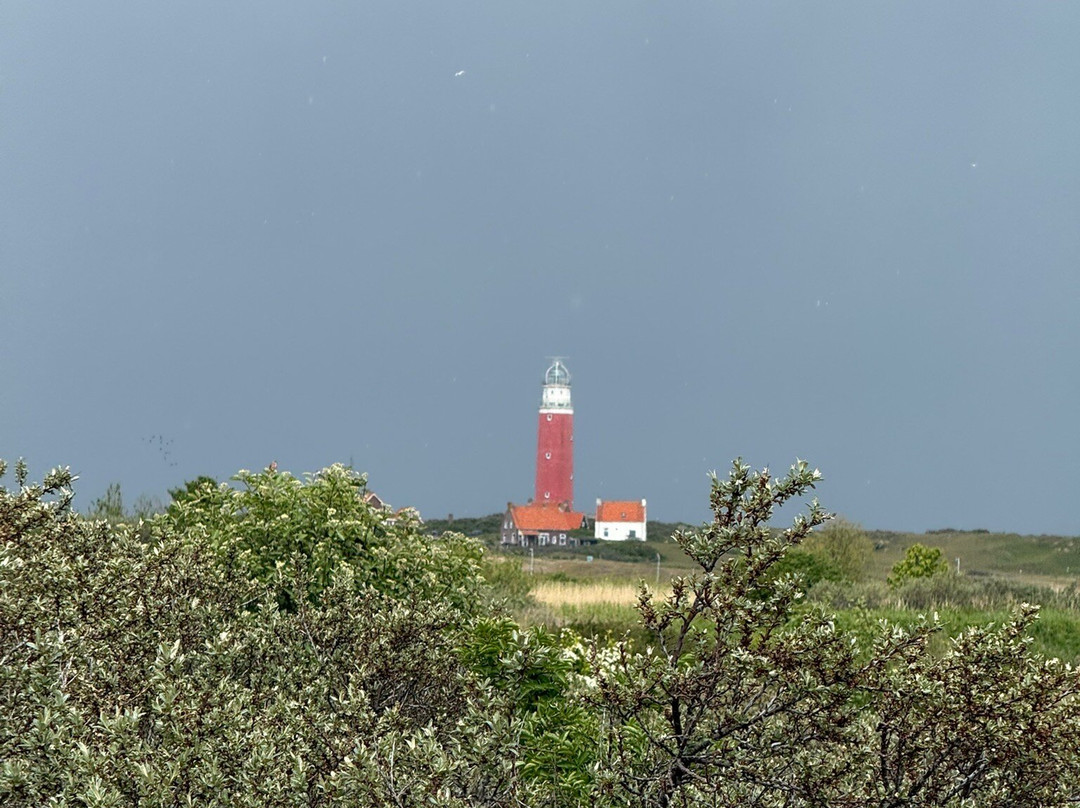 Vuurtoren Texel-De Cocksdorp必去景点