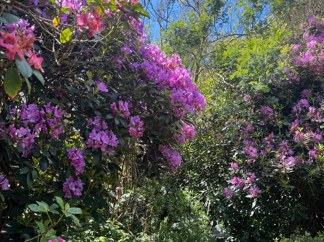 Jardin botanique de Vauville-Vauville必去景点