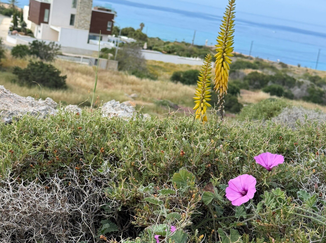 Ayia Napa Sculpture Park-阿依纳帕必去景点