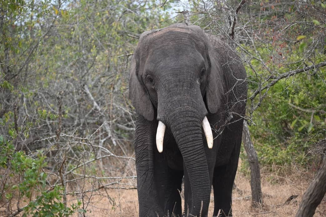 Akagera National Park-Eastern Province必去景点