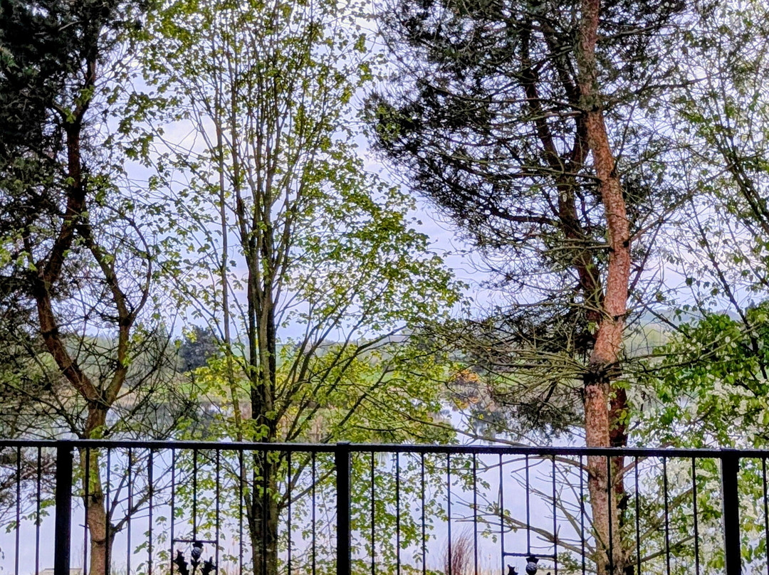 Forbes of Kingennie Country Resort-敦提必去景点