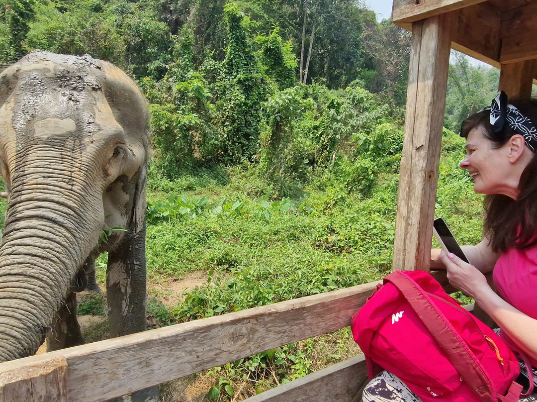 Boon Lott's Elephant Sanctuary-素可泰必去景点