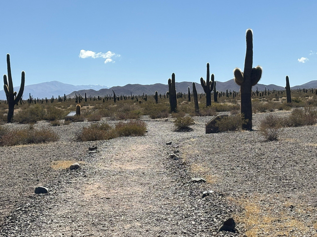 Parque Nacional Los Cardones-卡奇必去景点