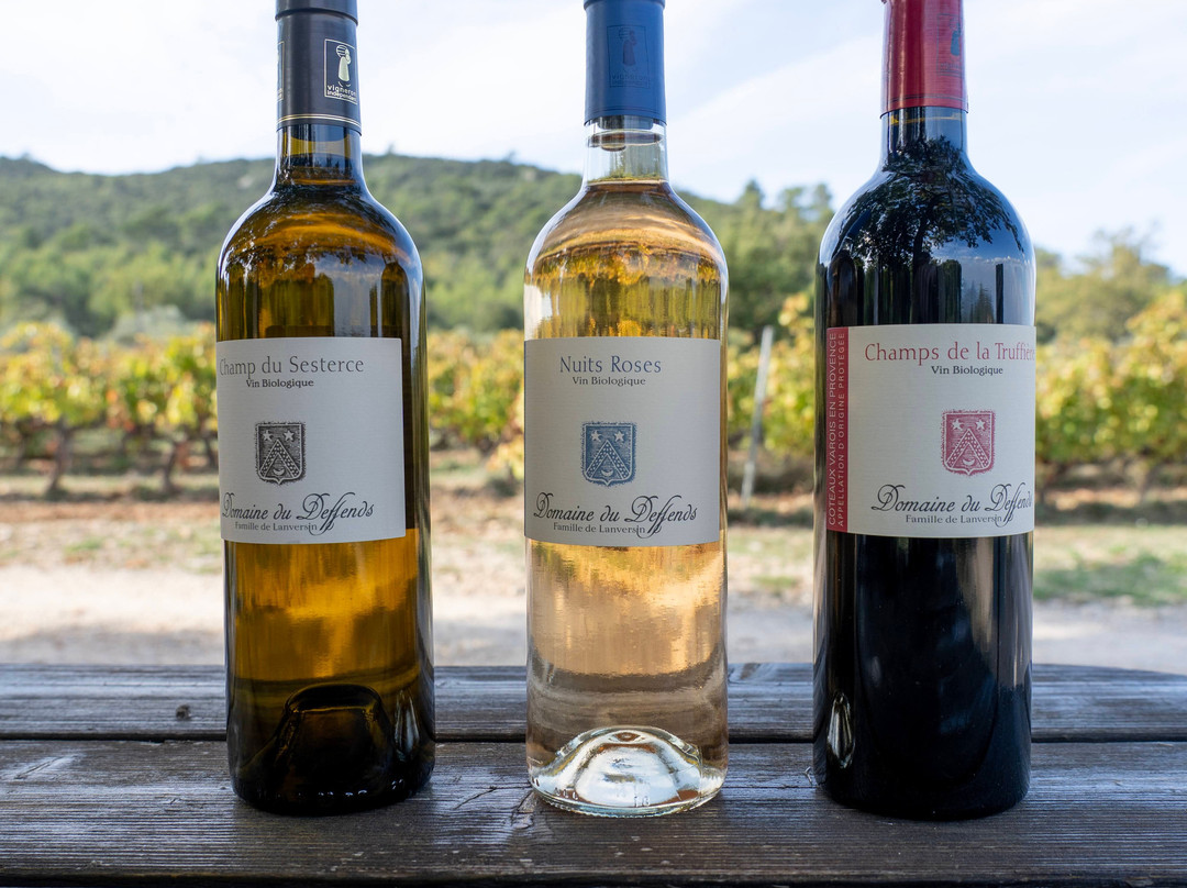 Domaine de Deffends-Saint-Maximin-la-Sainte-Baume必去景点