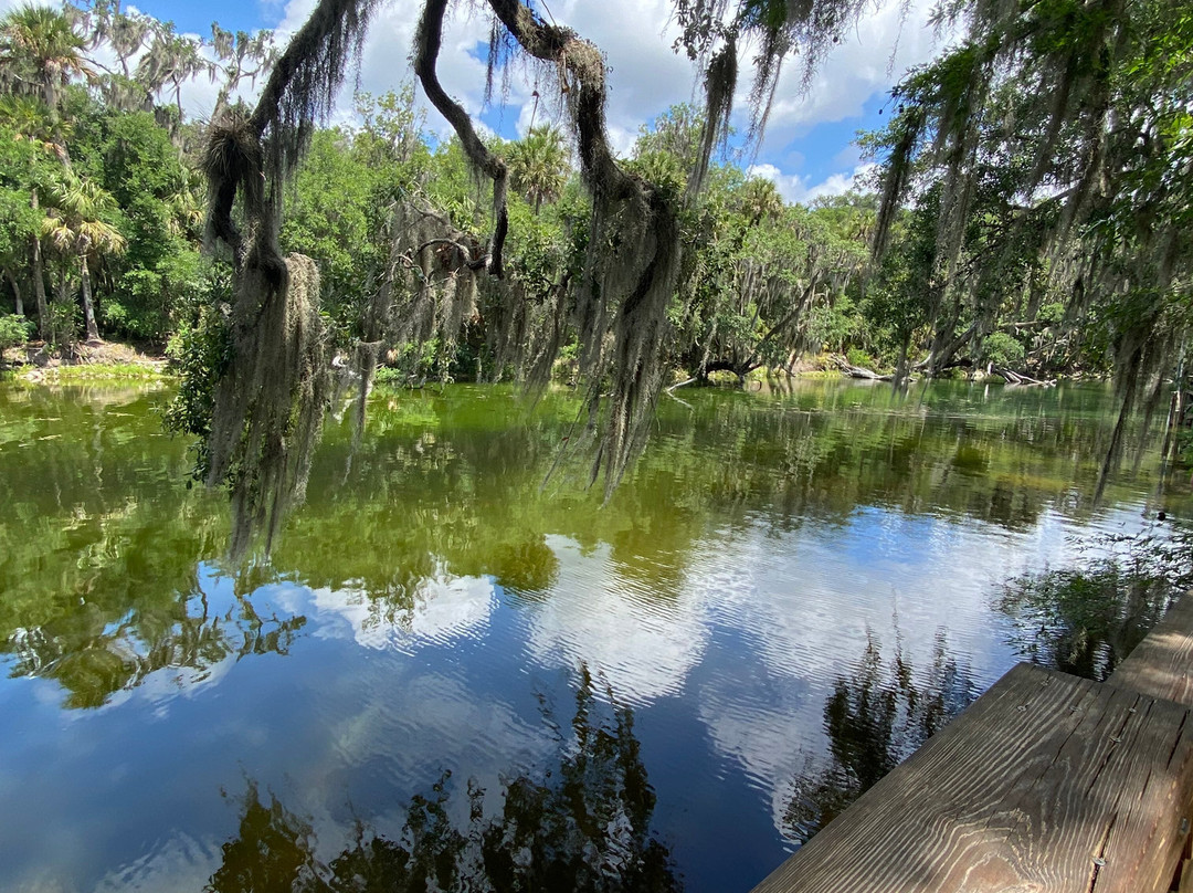 Blue Spring State Park-橙县必去景点
