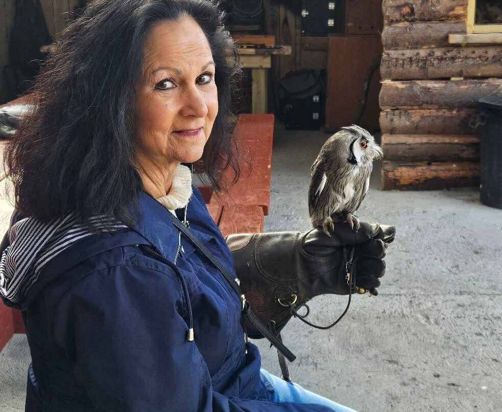 Mayfield Birds of Prey-Kilmacthomas必去景点