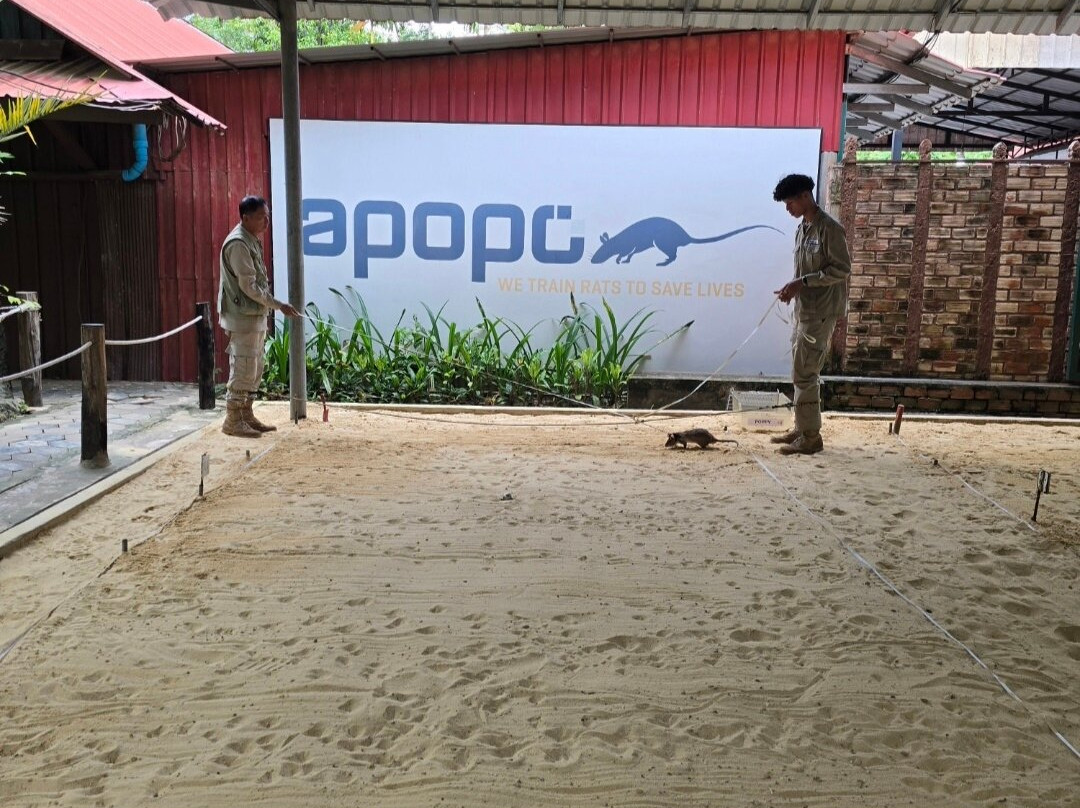 APOPO Visitor Center-暹粒必去景点