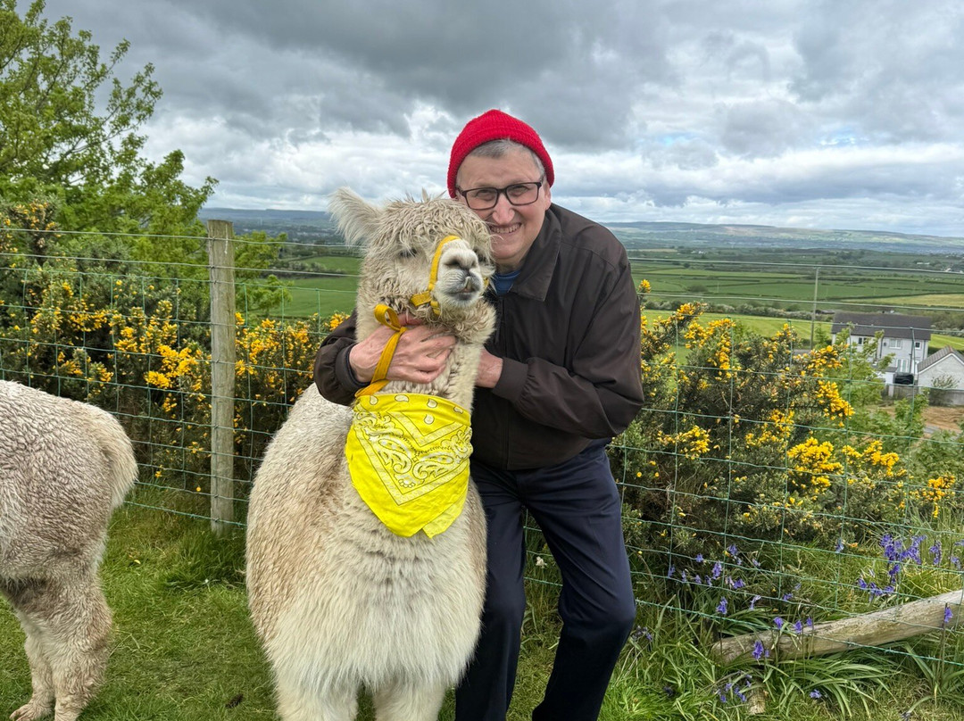 North Coast Alpacas-科尔雷恩必去景点
