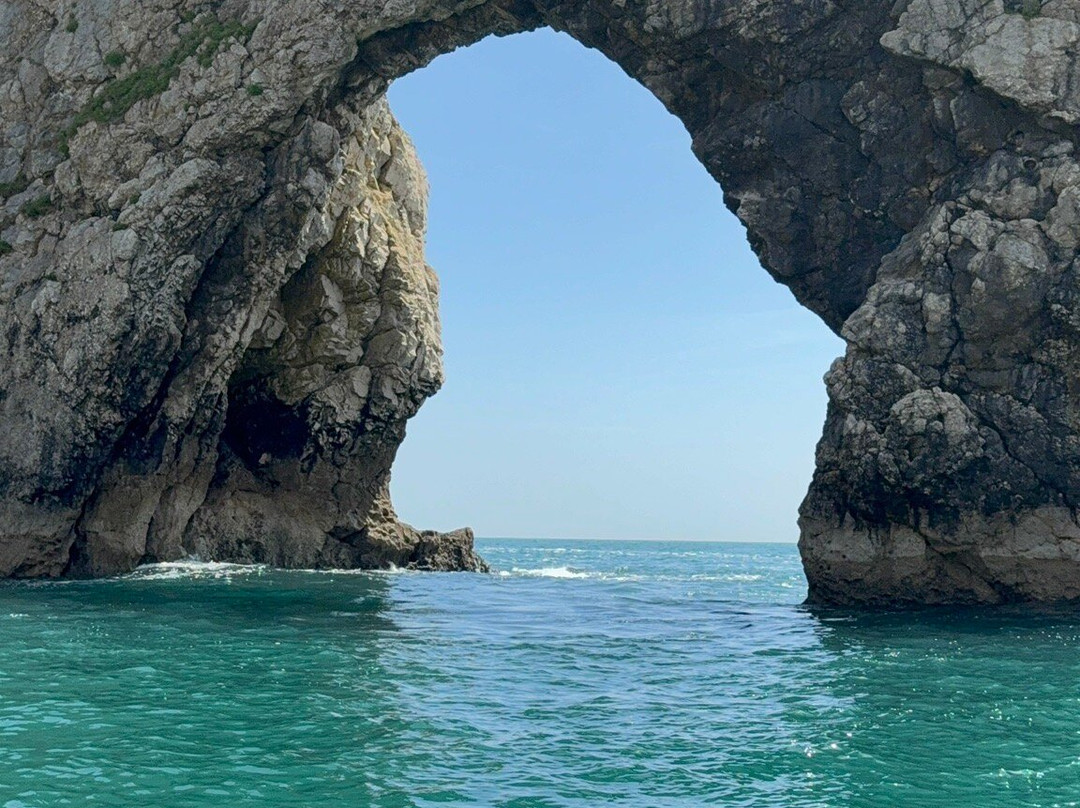 Jurassic Rib Rides-西拉尔沃思必去景点