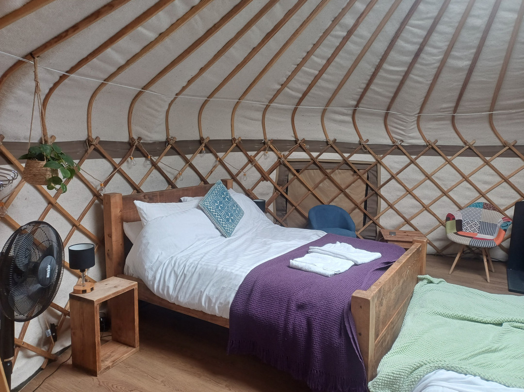 Kelburn Yurts & Campsite