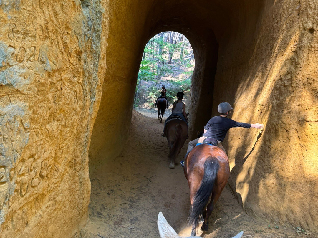 Provence Hipposervices-Saint-Saturnin-les-Apt必去景点