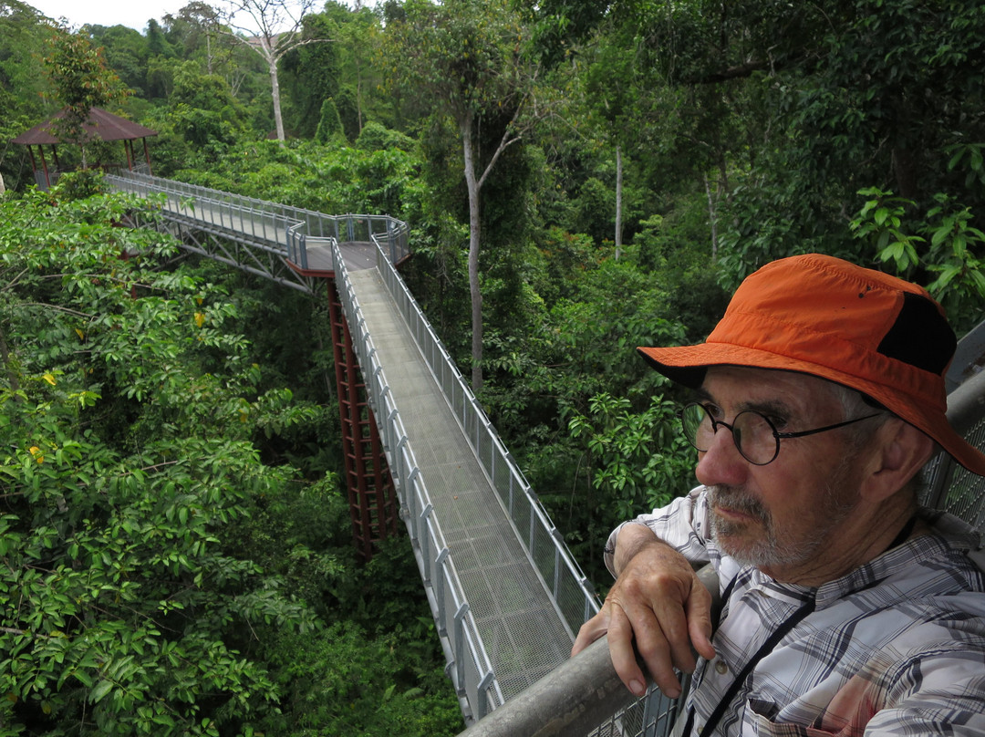 Taman Negara National Park-彭亨必去景点