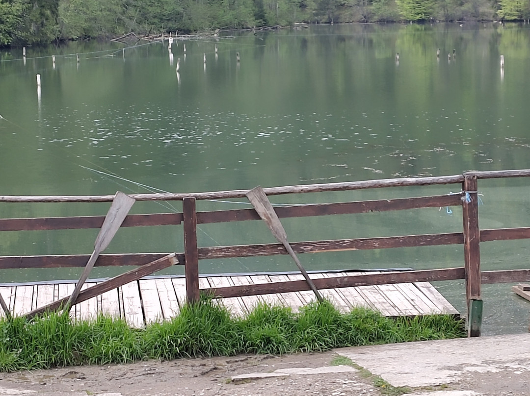 Lake Izvorul Muntelui (Lake Bicaz)-Piatra Neamt必去景点