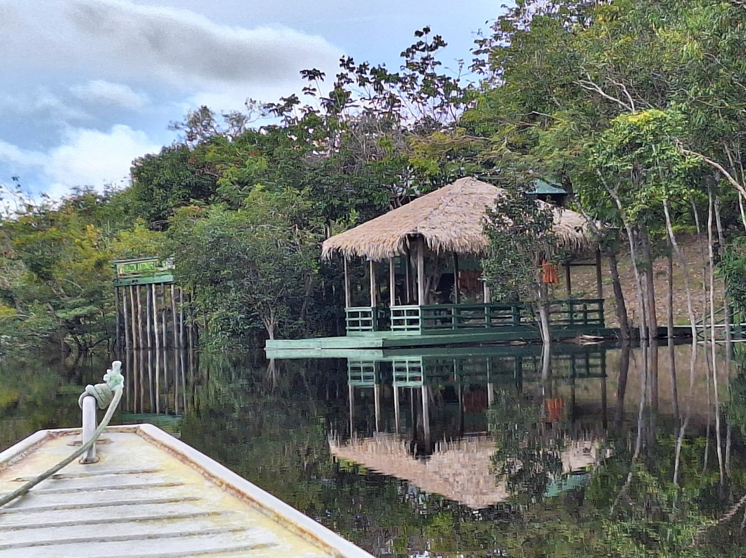 Amazon Antonio Jungle Tours-玛瑙斯必去景点