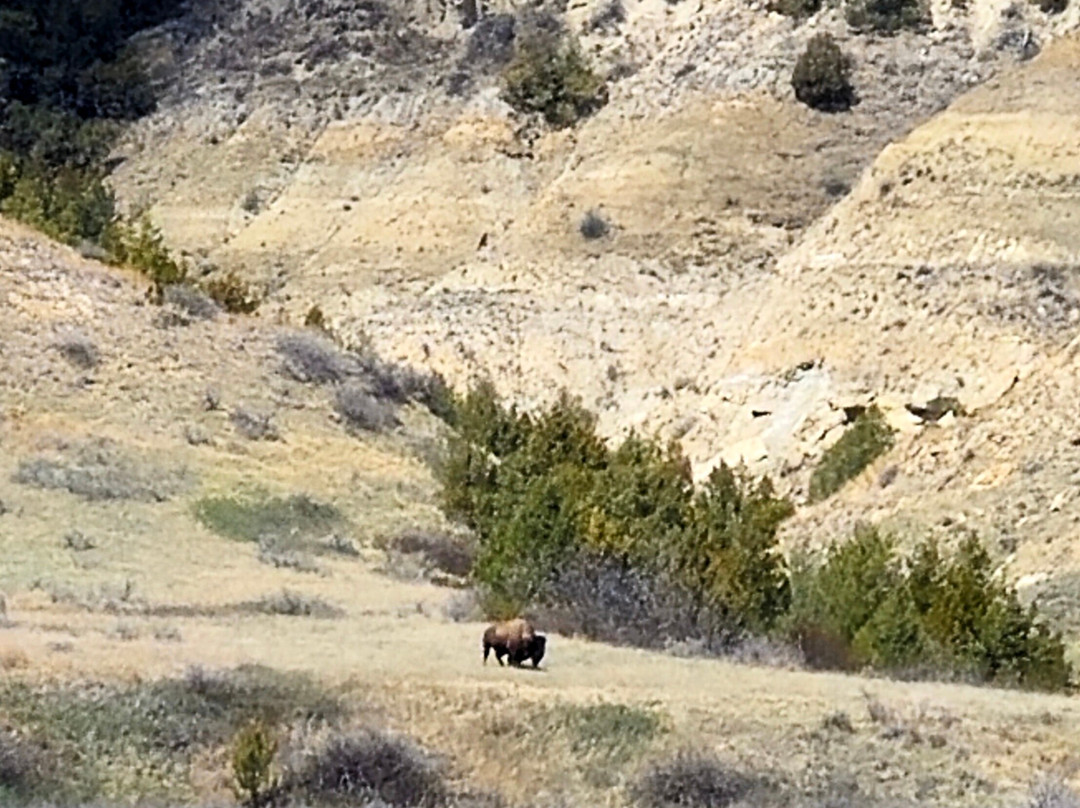 Theodore Roosevelt National Park-Medora必去景点