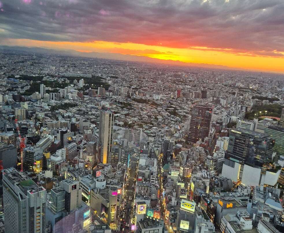 Shibuya Sky-涩谷区必去景点