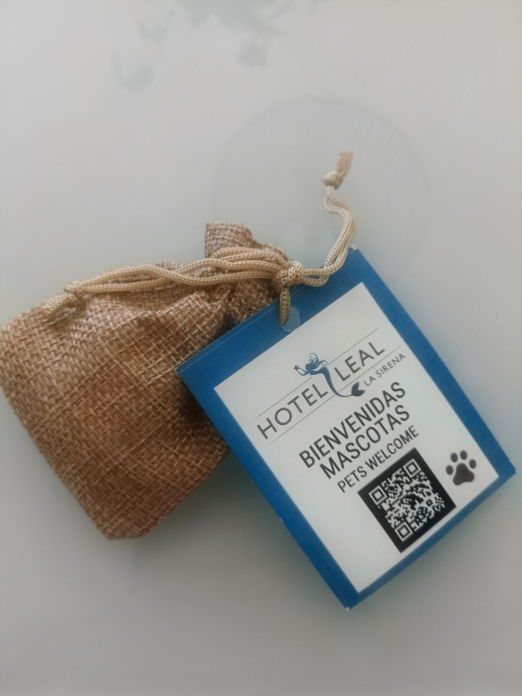 利亚尔拉席雷纳酒店-旅行者