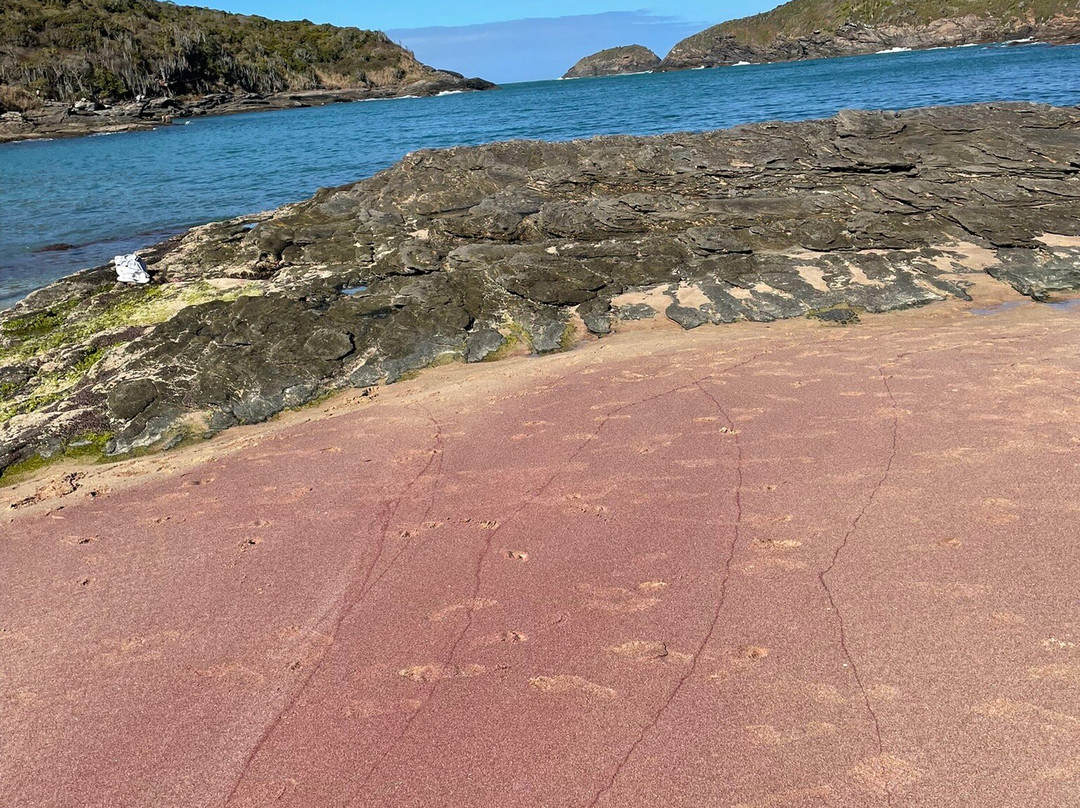 Forno Beach-布基亚斯必去景点